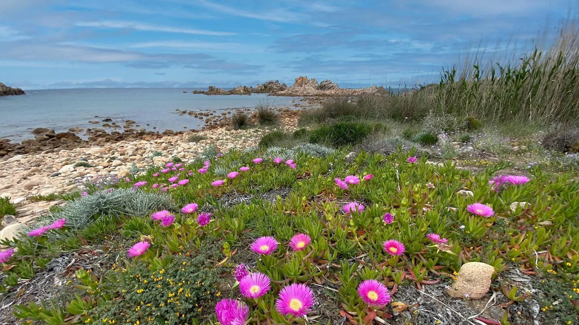 איזולה רוסה Gli Oleandri Di Calarossa - 5M Walk To The Beach